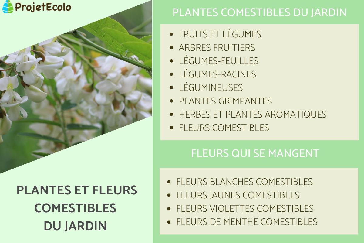 Plantes et fleurs comestibles