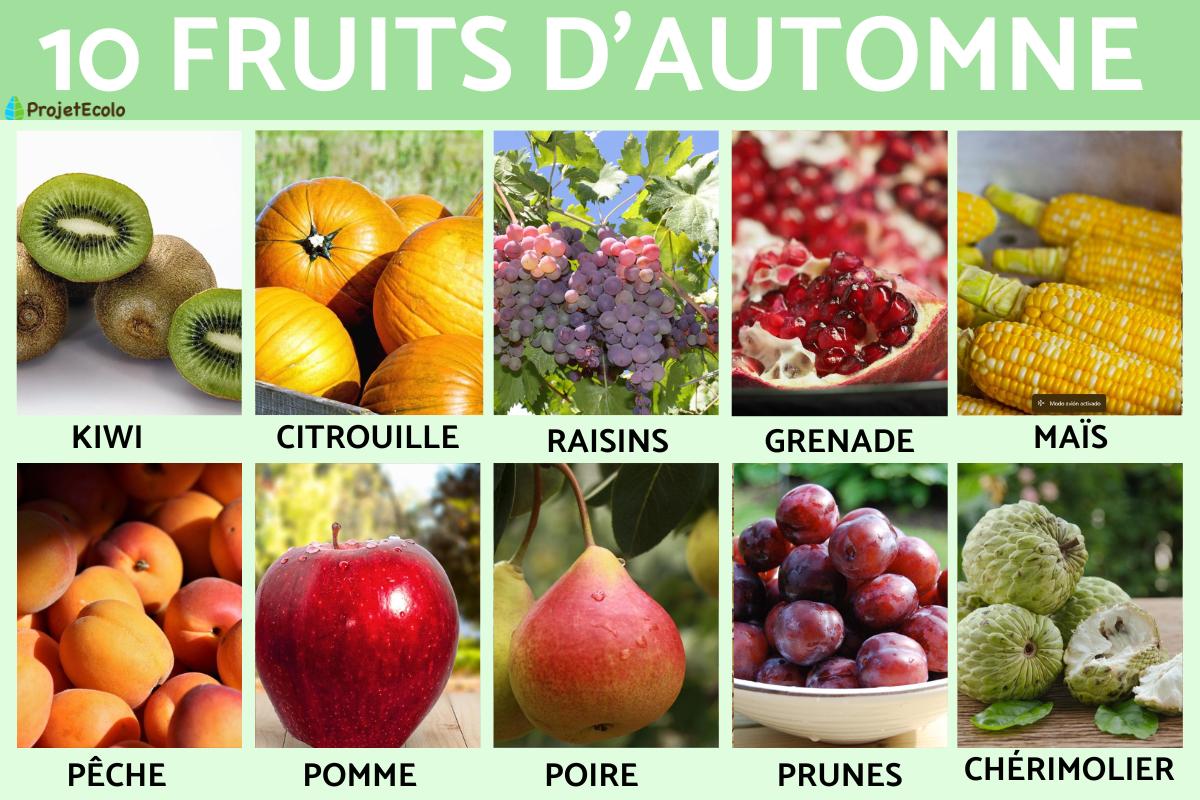 Fruits d'Automne