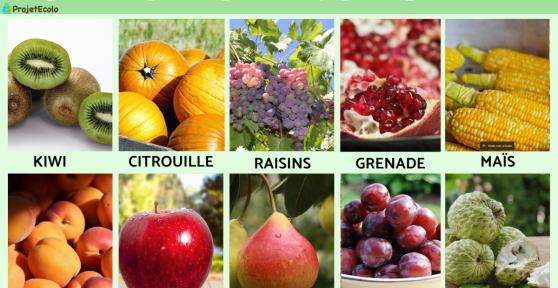 Fruits d'Automne