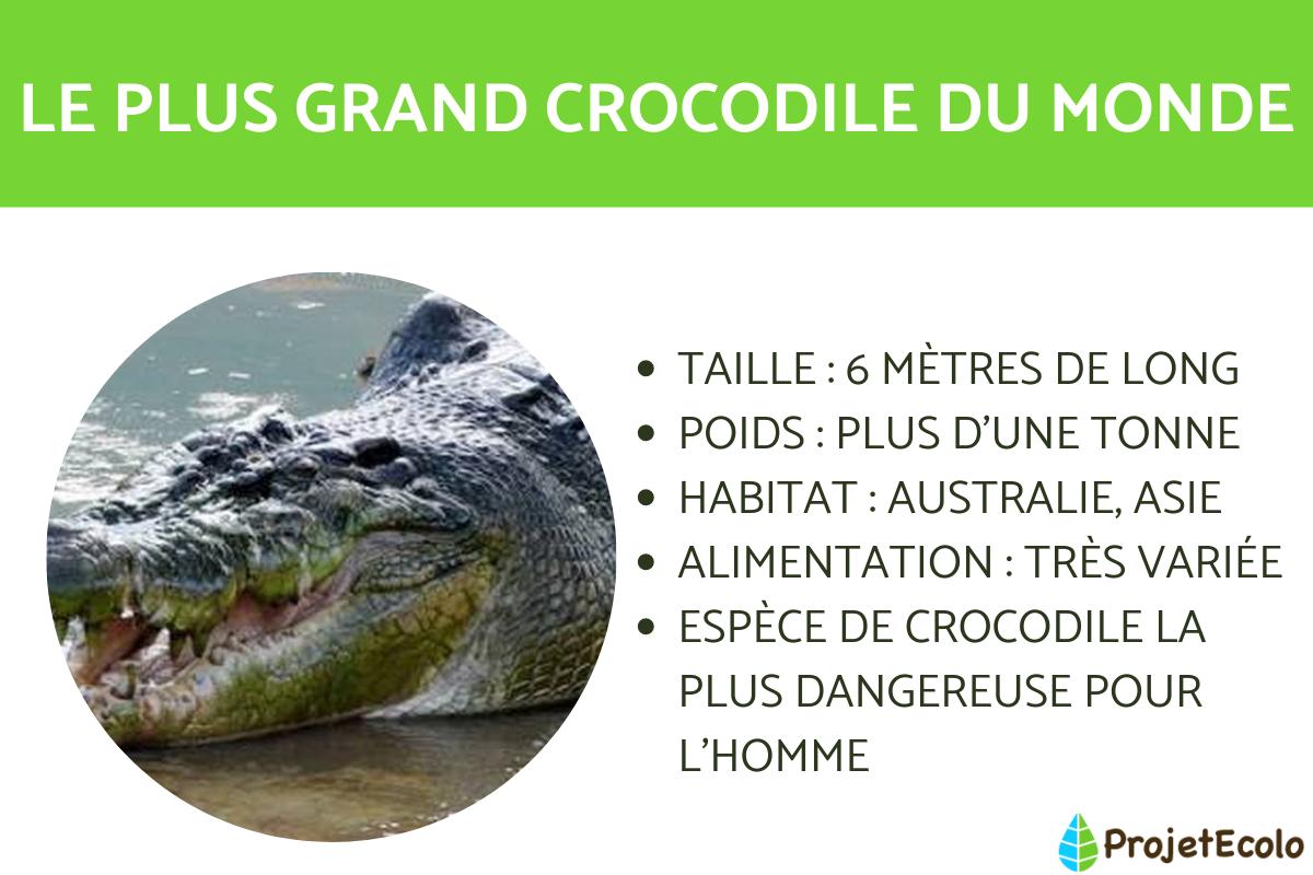 Quel est le plus grand crocodile du monde ?