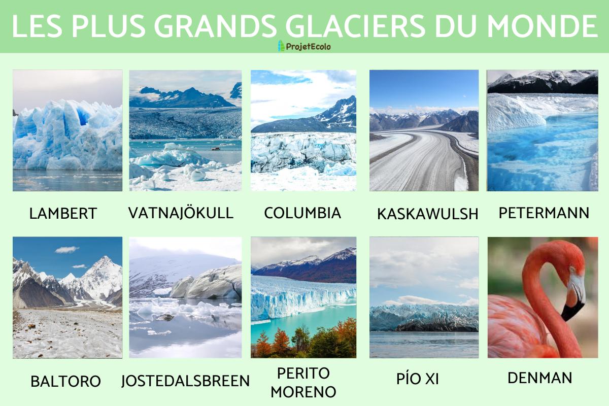 Les Plus Grands Glaciers Du Monde Quel Est Le Plus Grand Glacier Du les-plus-grands-glaciers-du-monde-quel-est-le-plus-grand-glacier-du
