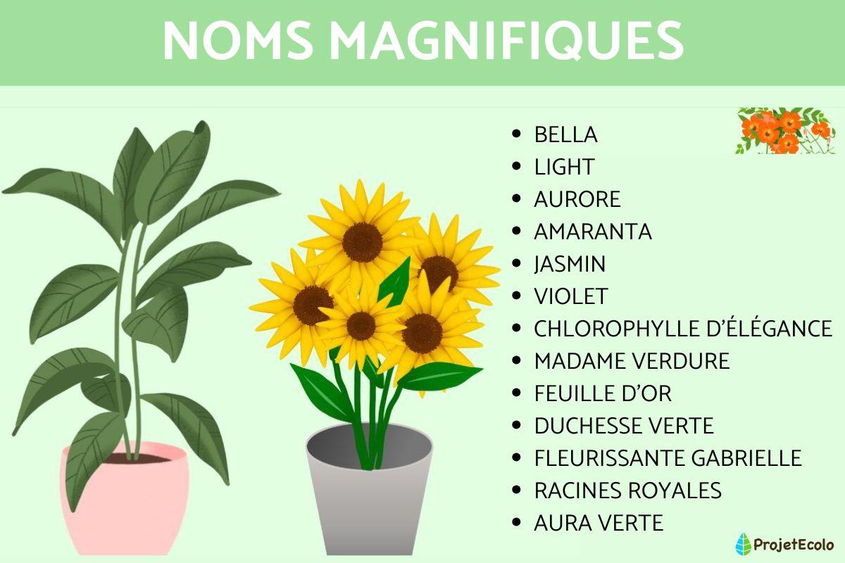 75 Noms pour plantes - Originaux et drôles