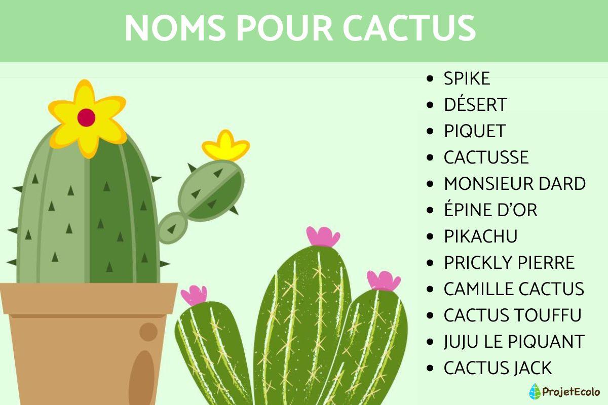 75 Noms pour plantes - Originaux et drôles