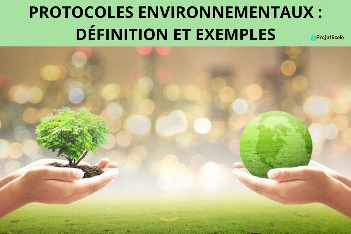 Protocoles environnementaux : définition et exemples