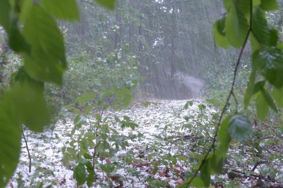 Grêle définition, comment elle se forme et types