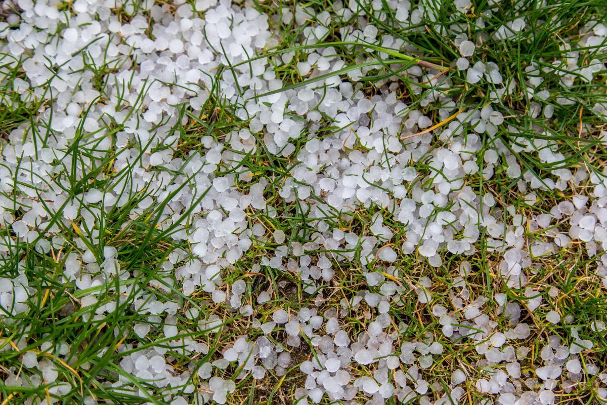 Grêle définition, comment elle se forme et types