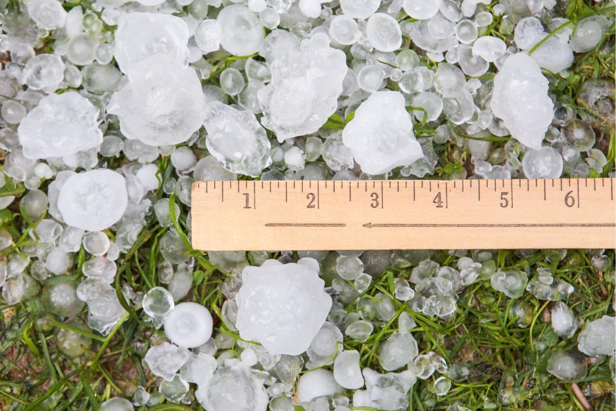 Grêle définition, comment elle se forme et types