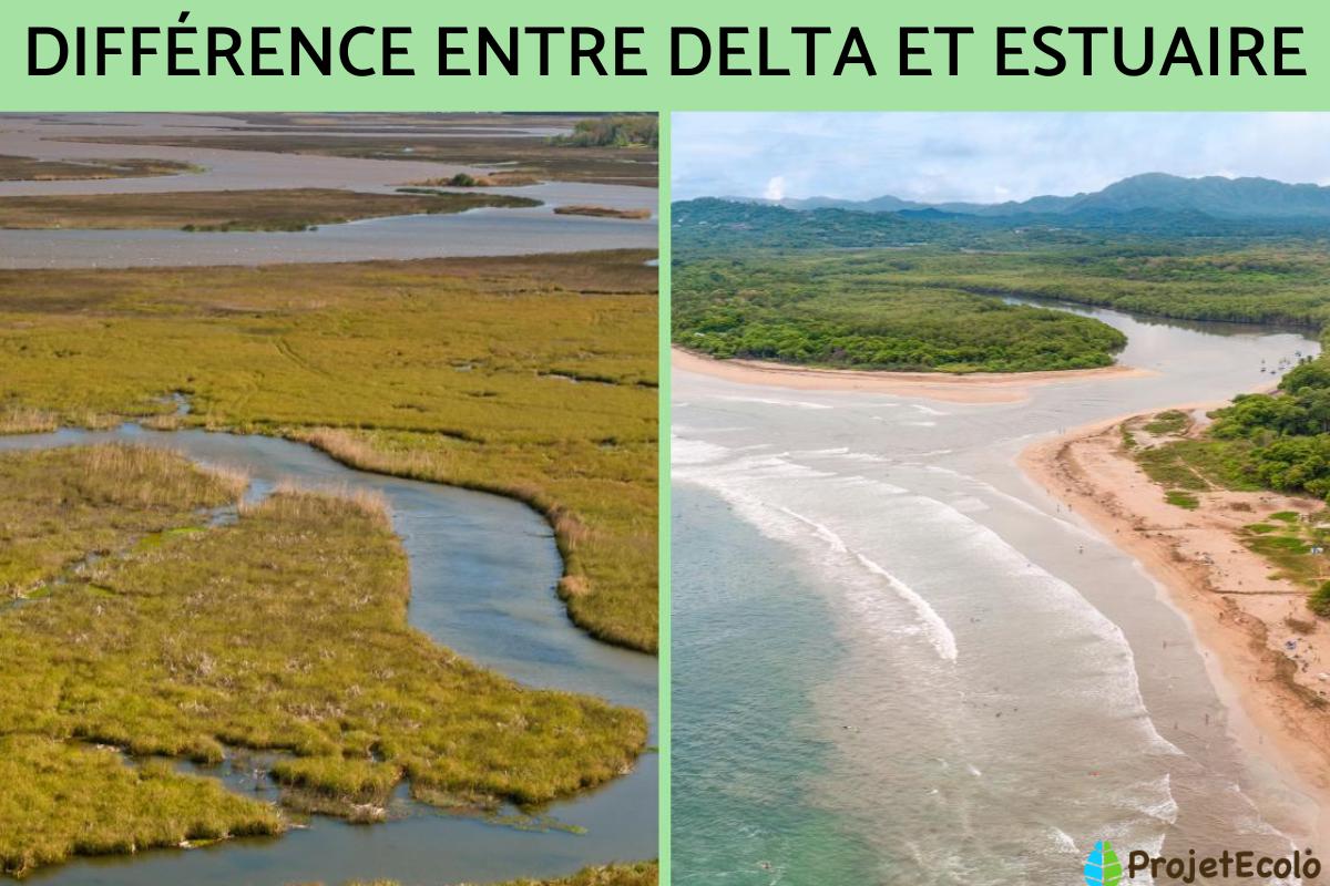 Différence entre delta et estuaire