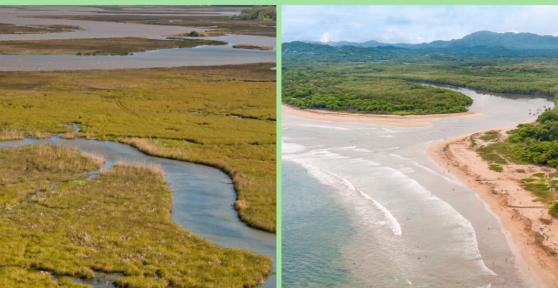 Différence entre delta et estuaire