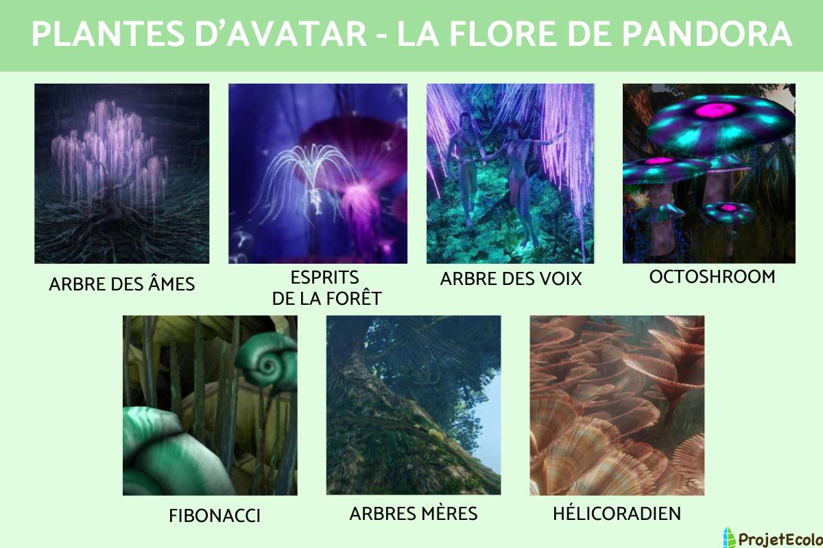 Plantes d'Avatar : la flore de Pandora