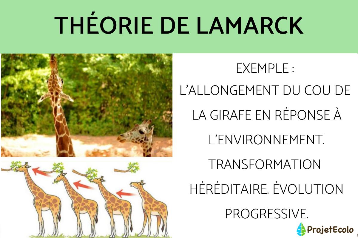 Théorie de Lamarck
