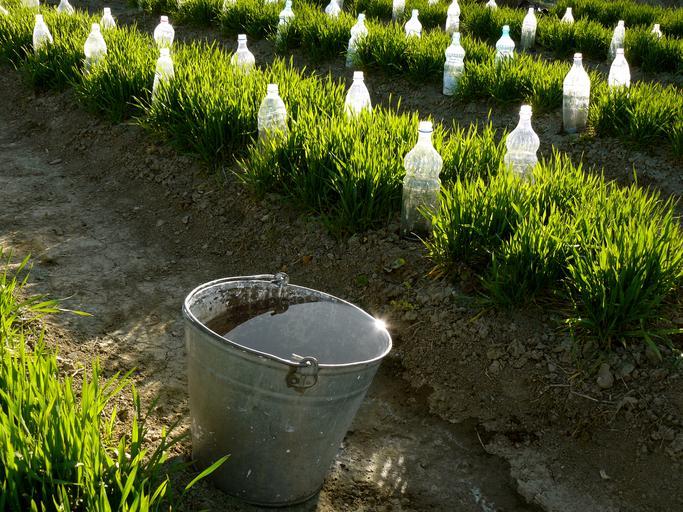 ARROSAGE GOUTTE-À-GOUTTE MAISON - ÉTAPES de FABRICATION