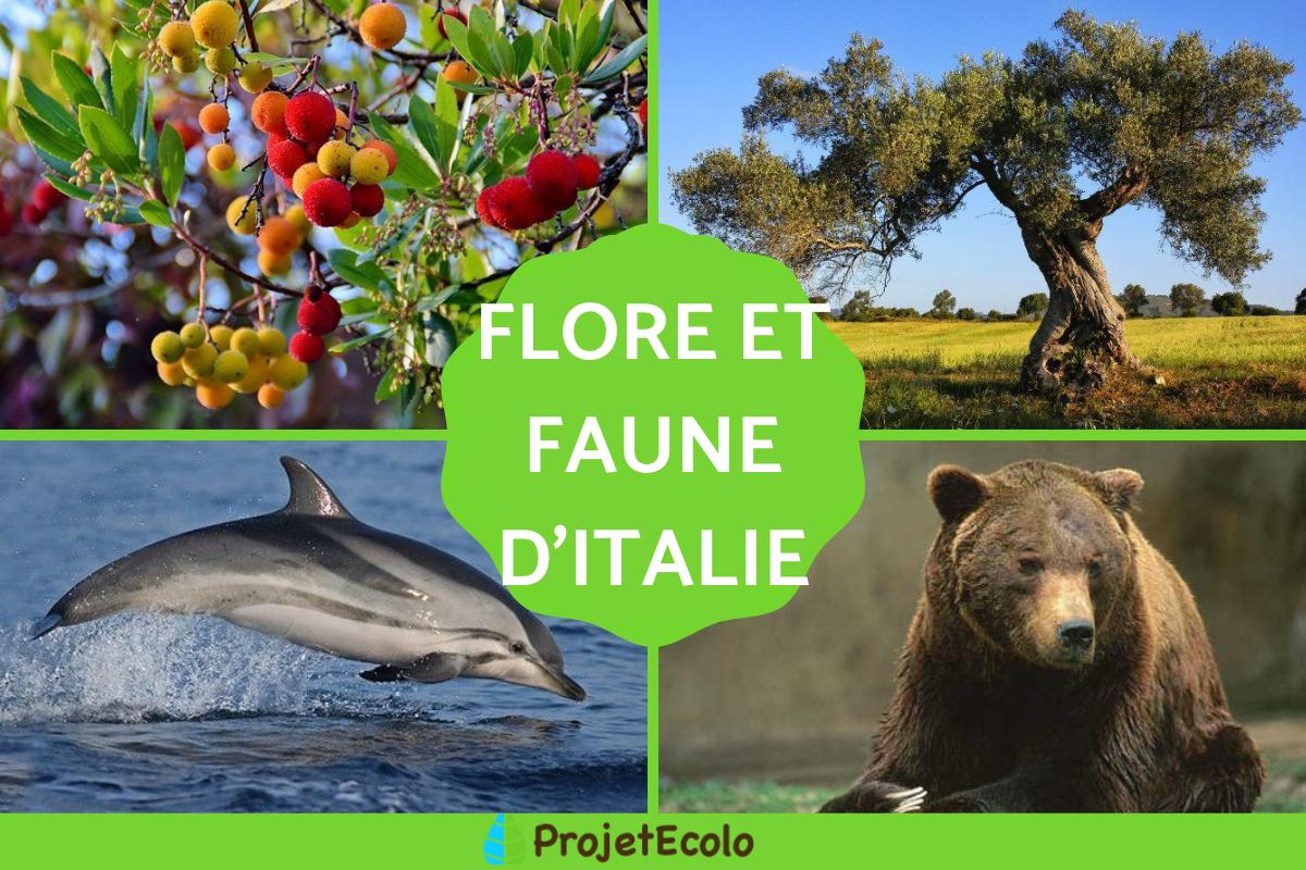 Faune et flore d'Italie