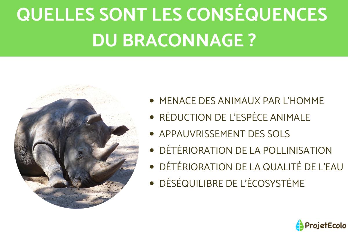 Braconnage : définition, causes et conséquences