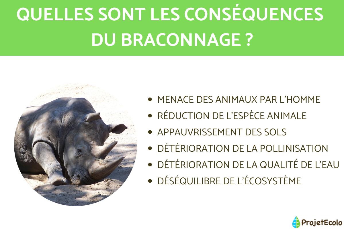 BRACONNAGE : DÉFINITION, CAUSES Et CONSÉQUENCES