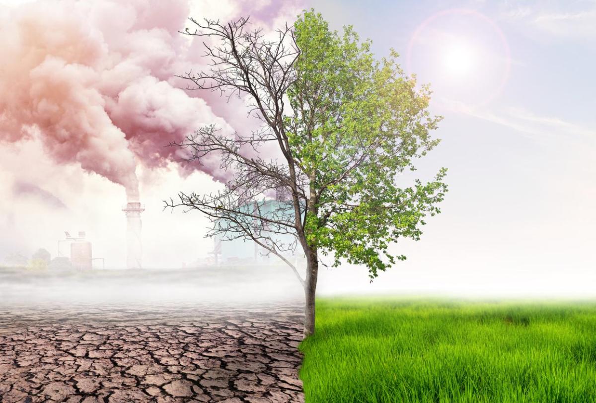 Changement climatique : Définition, types, nature, causes et conséquences