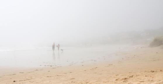Brume : Définition et comment elle se forme