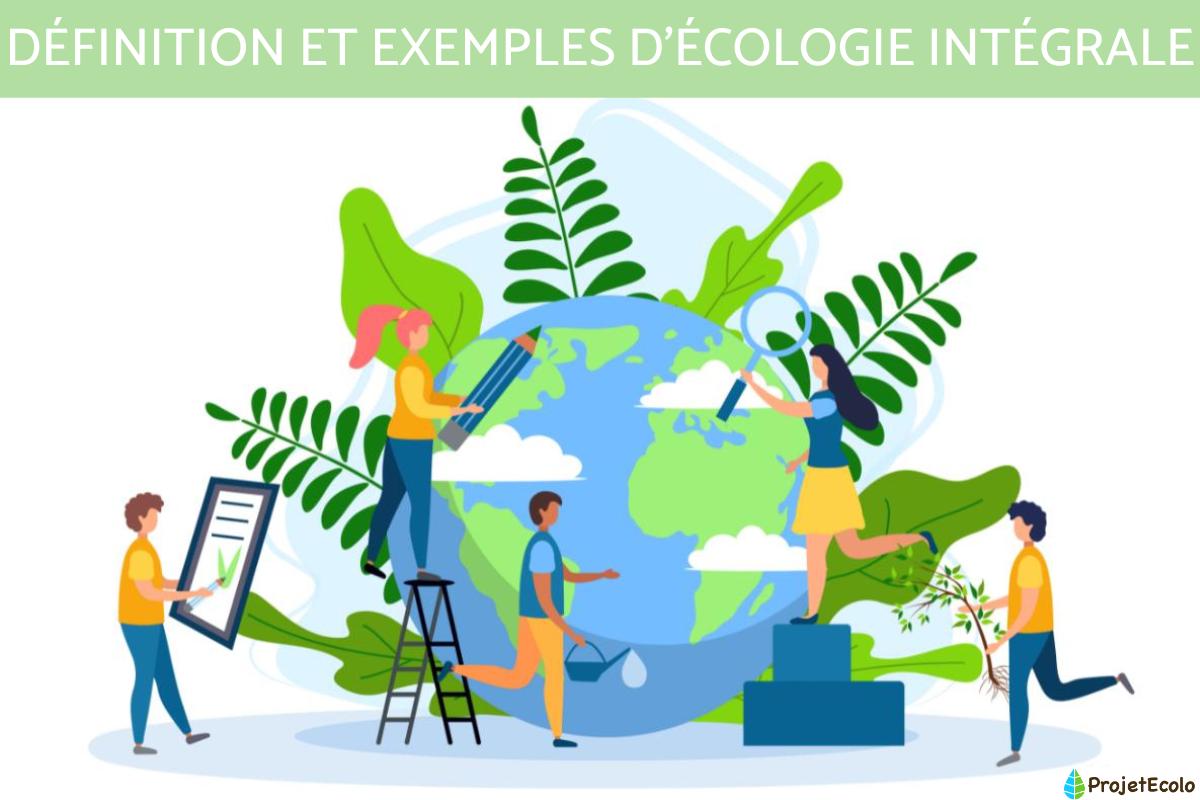 Écologie intégrale : définition et exemples