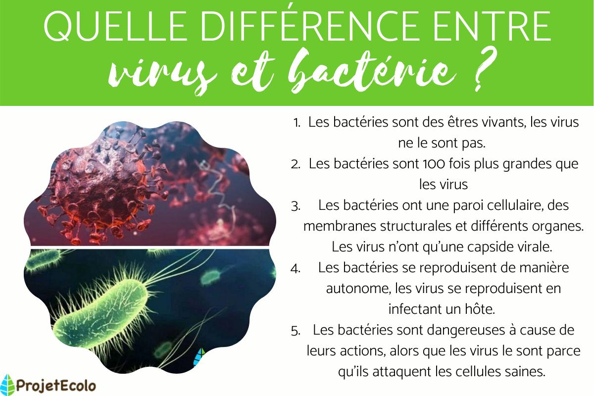 Différence entre virus et bactérie