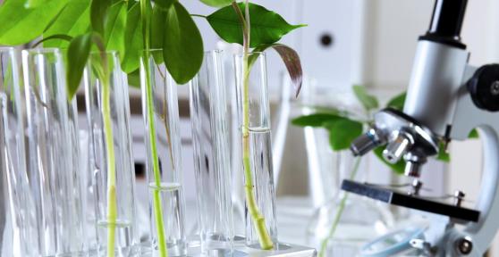 Biotechnologie verte : Définition et applications