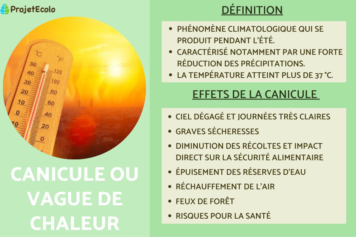 Canicule ou vague de chaleur Définition de canicule
