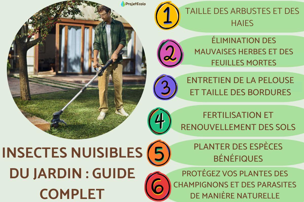 Insectes nuisibles du jardin : guide complet