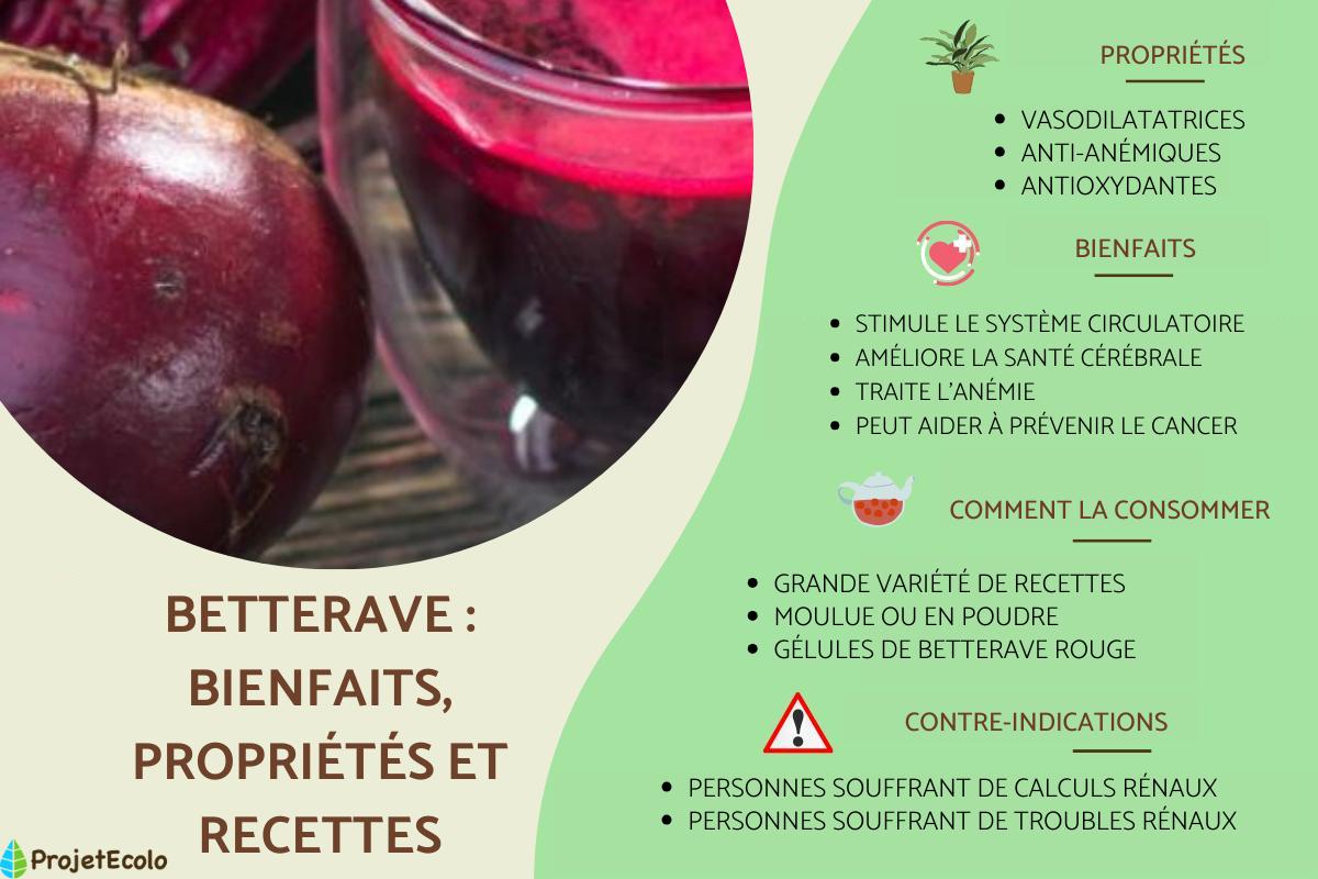 Betterave : bienfaits, propriétés et recettes