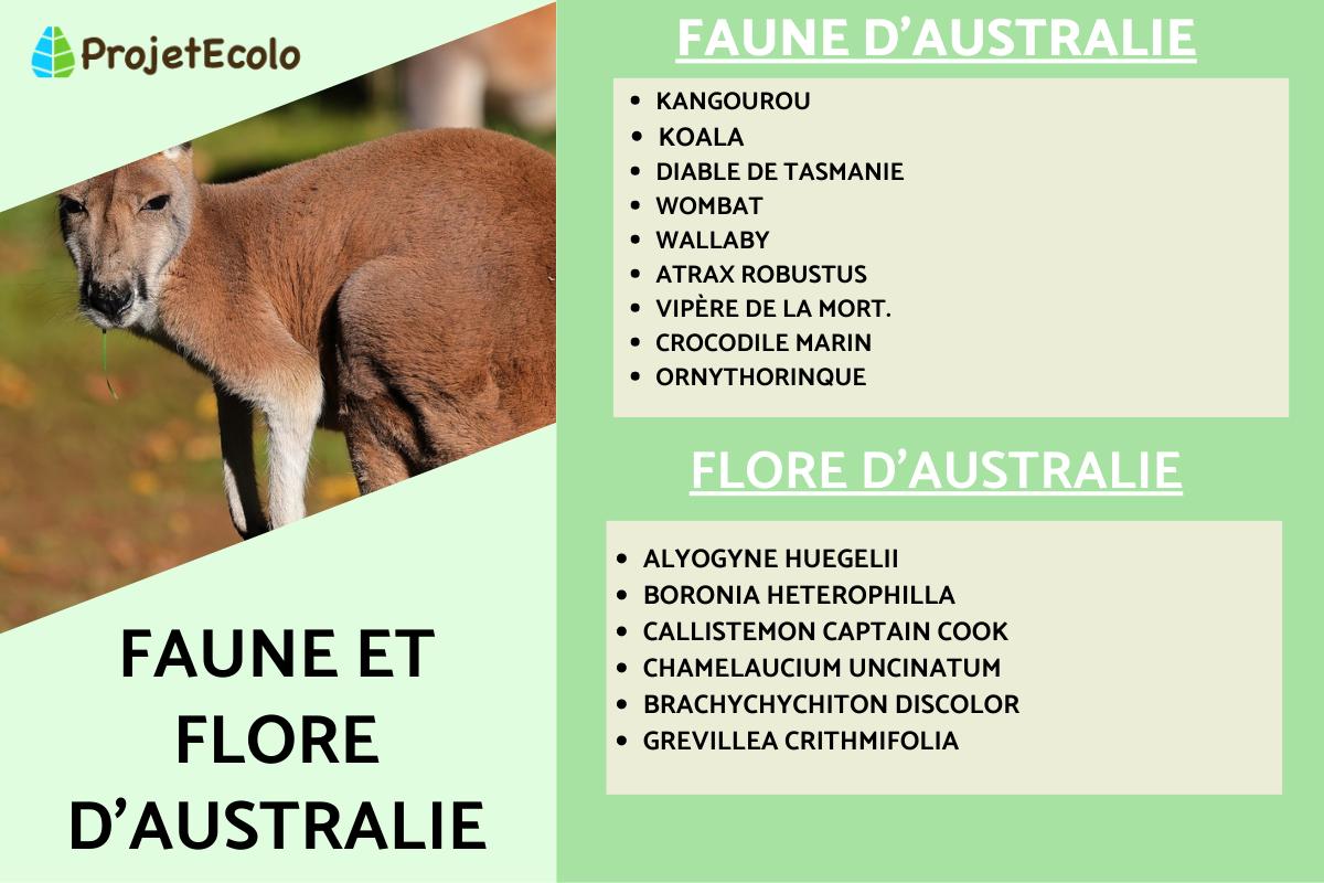 Faune et flore d'Australie