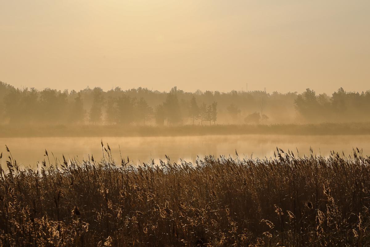 Brume sèche Définition, manifestation et effets