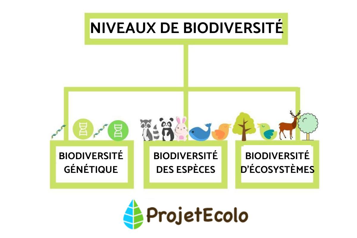 Les 3 niveaux de la biodiversité
