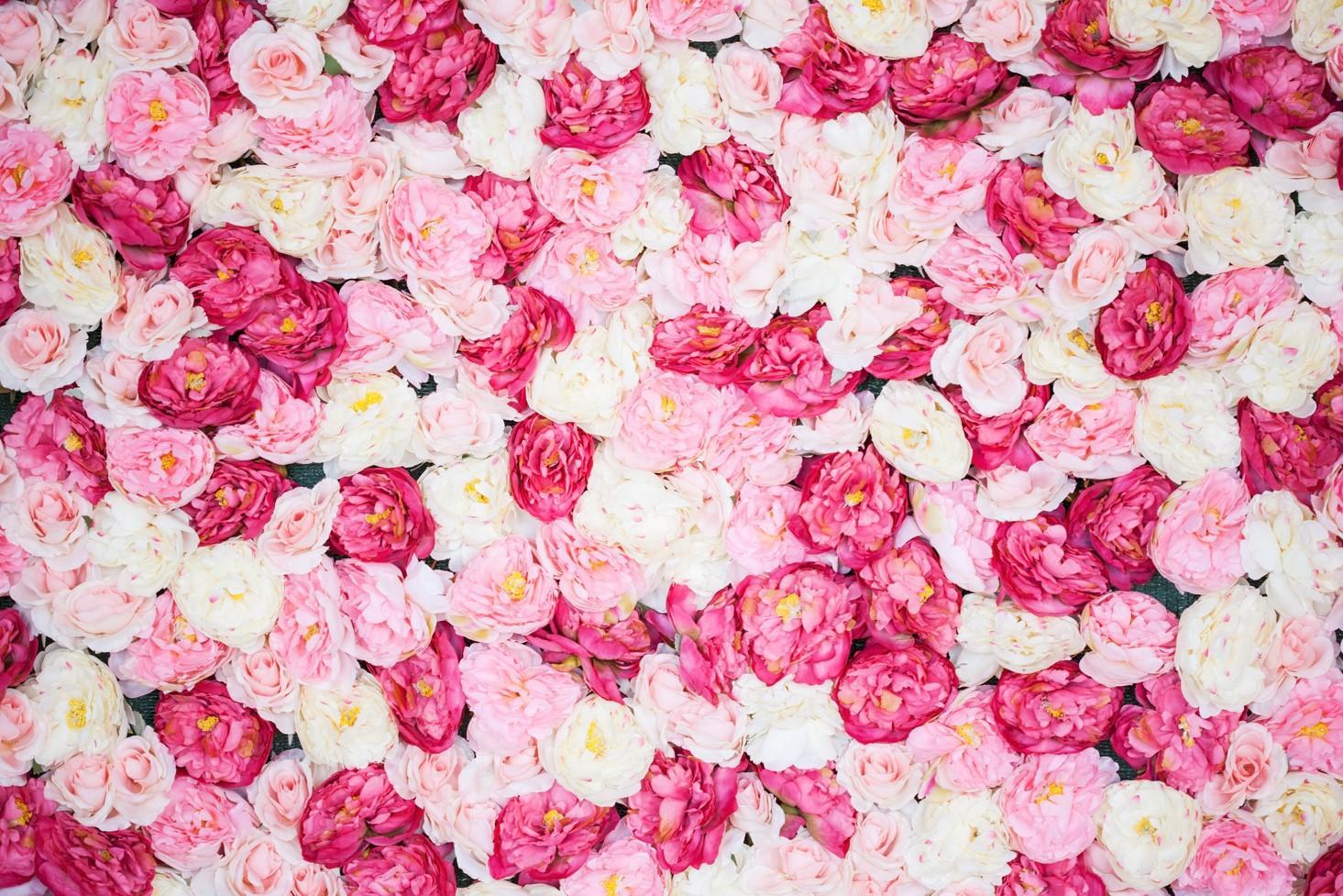 8 Fleurs qui ressemblent à des roses