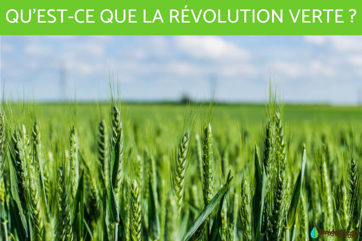 La révolution verte - Définition, avantages et inconvénients