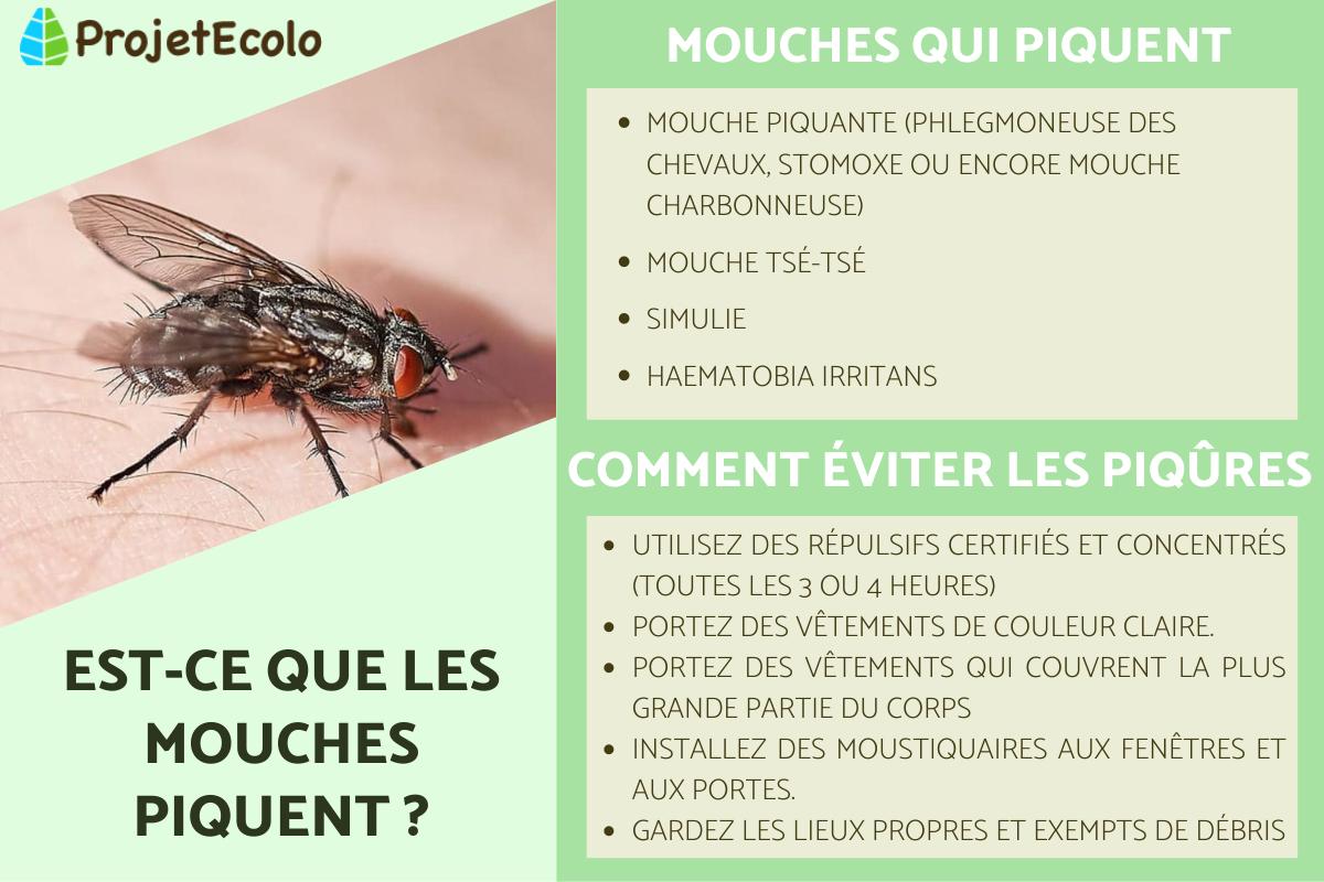 Est-ce que les mouches piquent ?