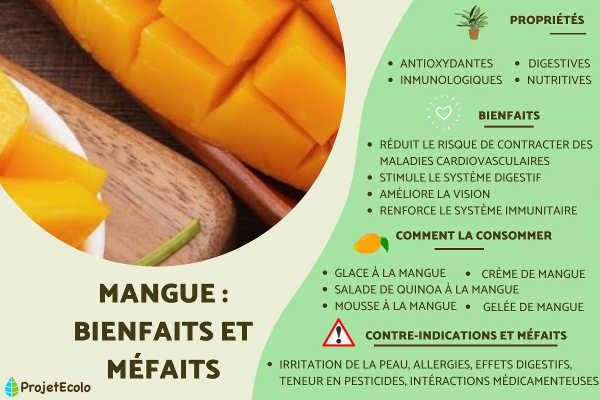 Mangue : bienfaits et méfaits