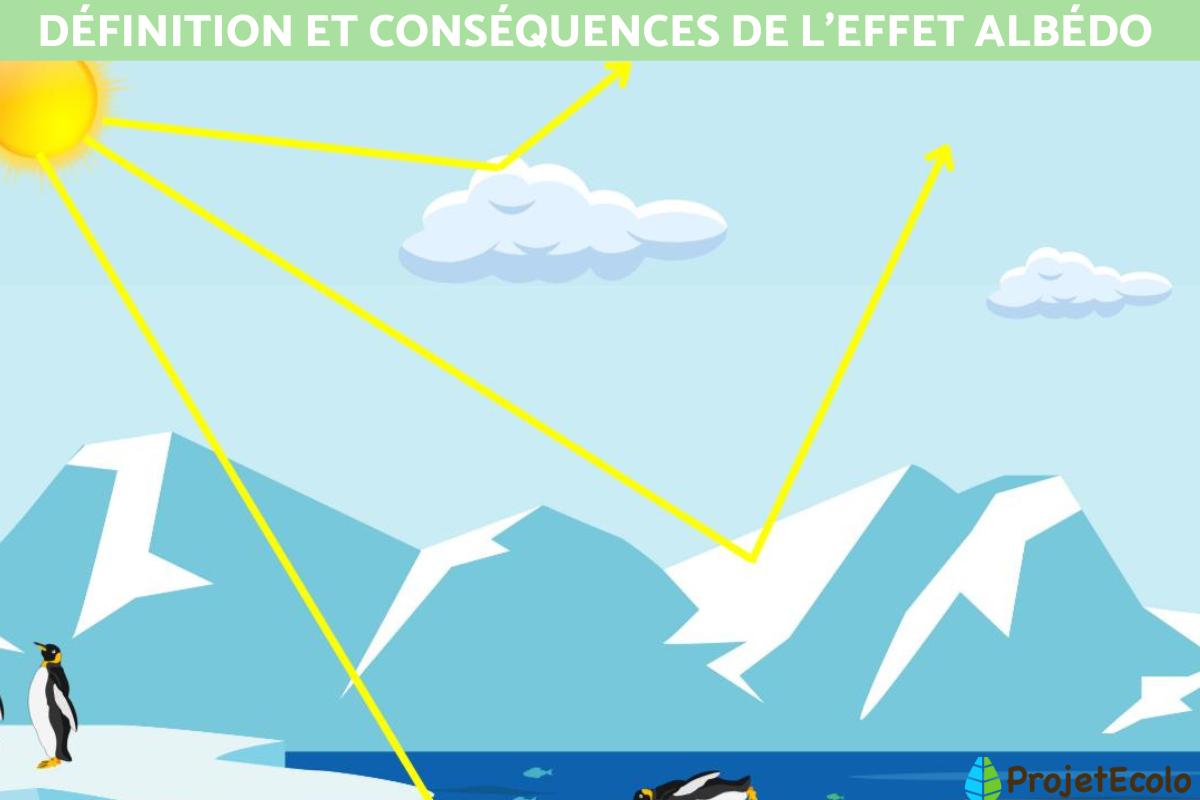 Effet Albédo : définition et conséquences