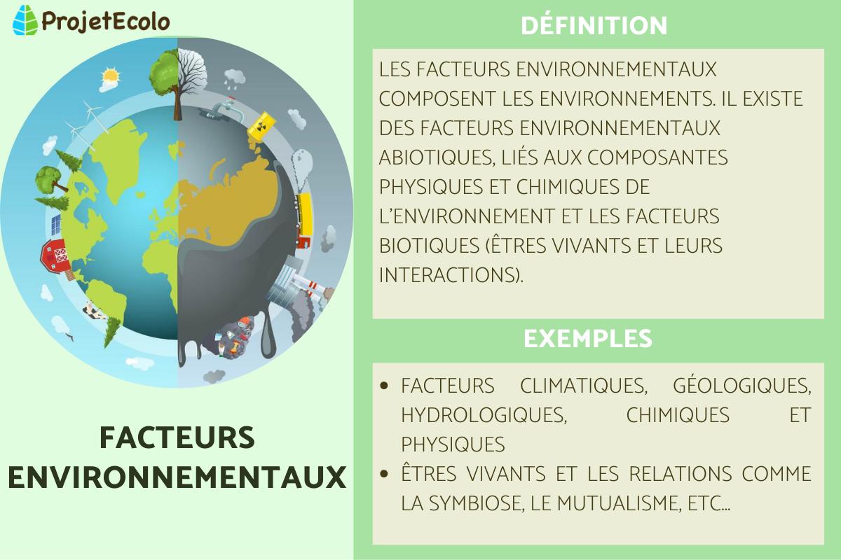 Facteurs environnementaux : Définition et exemples