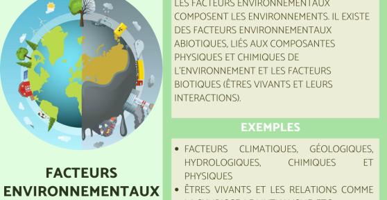 Facteurs environnementaux : Définition et exemples