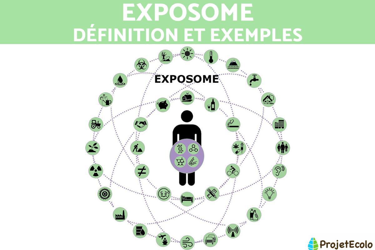 Exposome : Définition et exemples