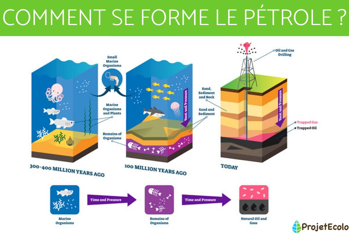 Comment se forme le pétrole