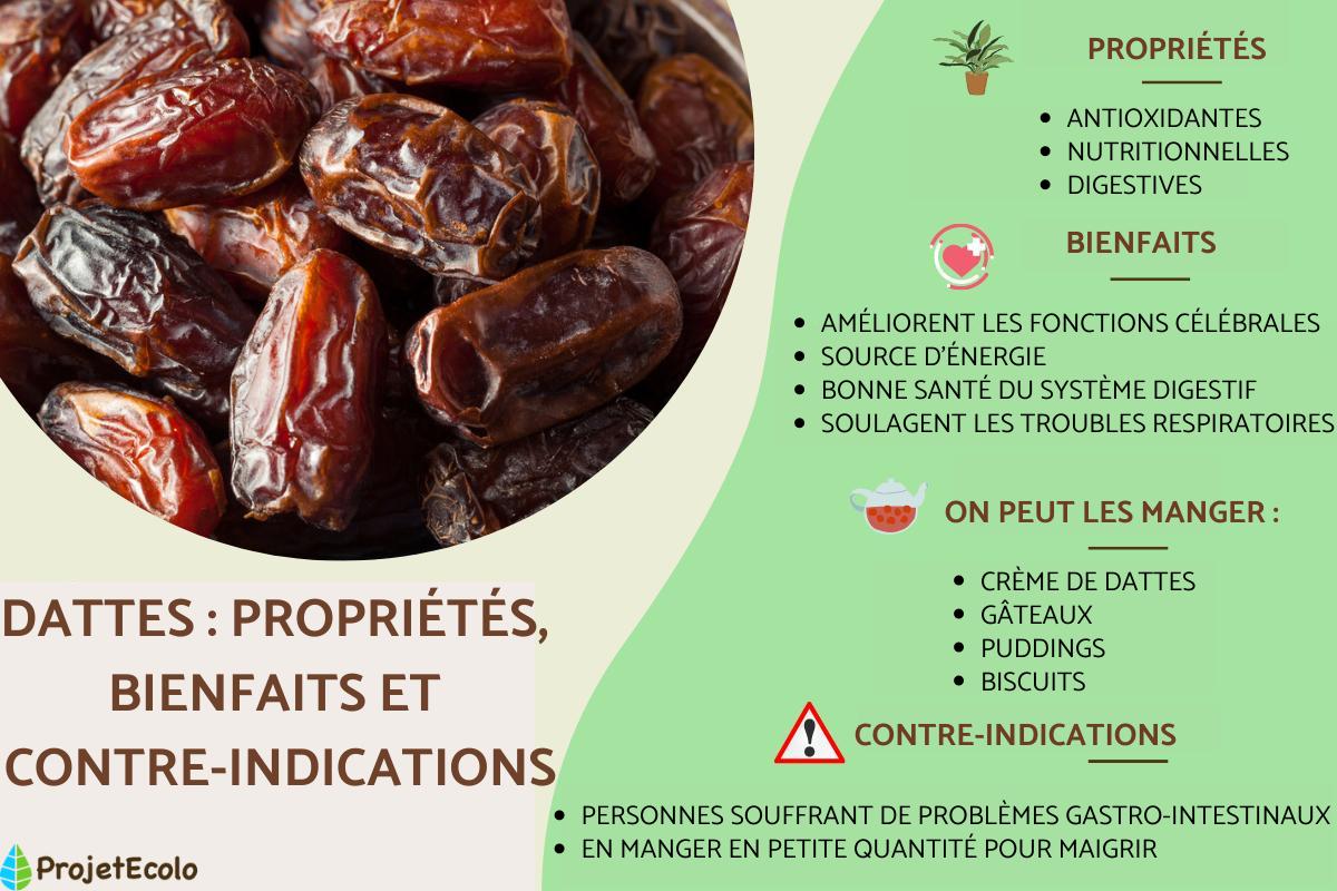 Quels sont les bienfaits des dattes pour notre santé