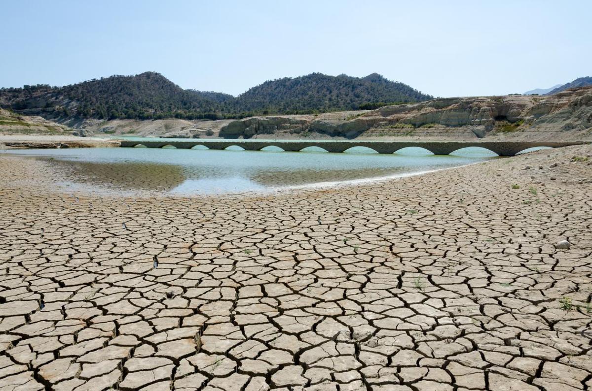 Épuisement des ressources naturelles : Causes et conséquences