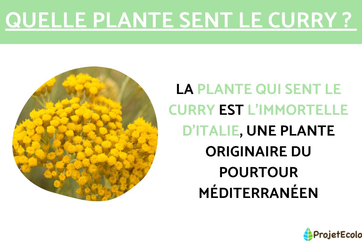 Bütic GmbH Plaque En Verre Acrylique Pour Plantes