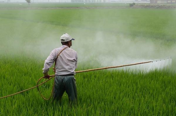 Pesticides : Définition, exemples et usage