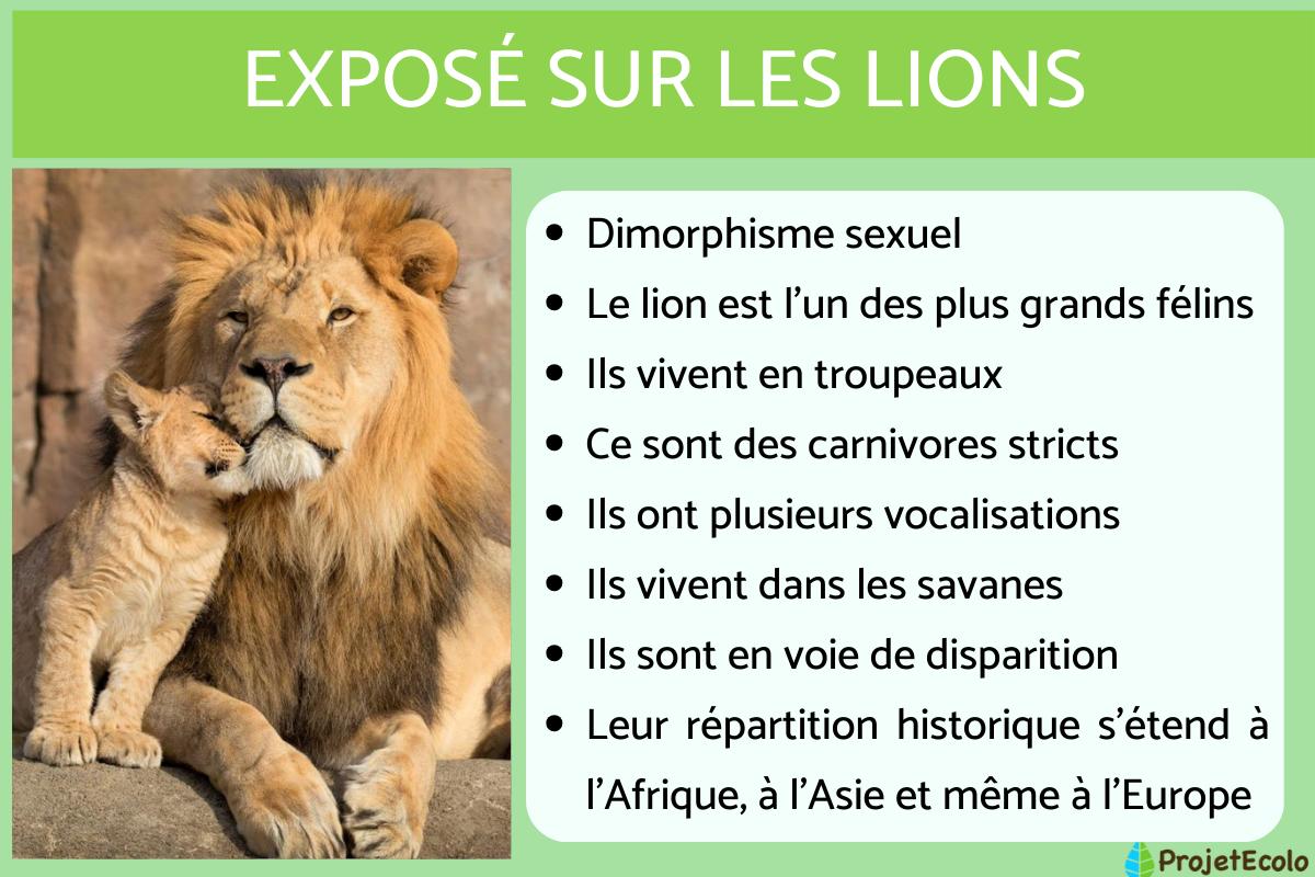 EXPOSÉ sur les LIONS