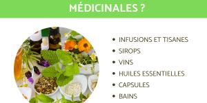 Phytothérapie - Comment utiliser les plantes médicinales ?