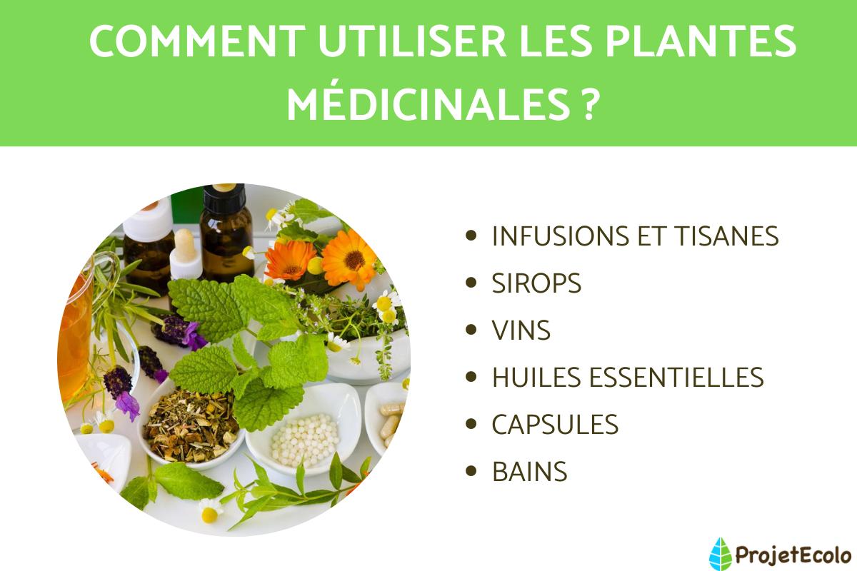 Qu'est-ce que la phytothérapie ?