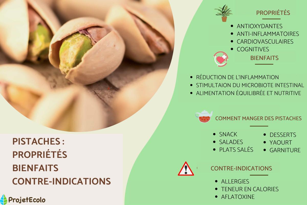 Pistache : propriétés, bienfaits et contre-indications