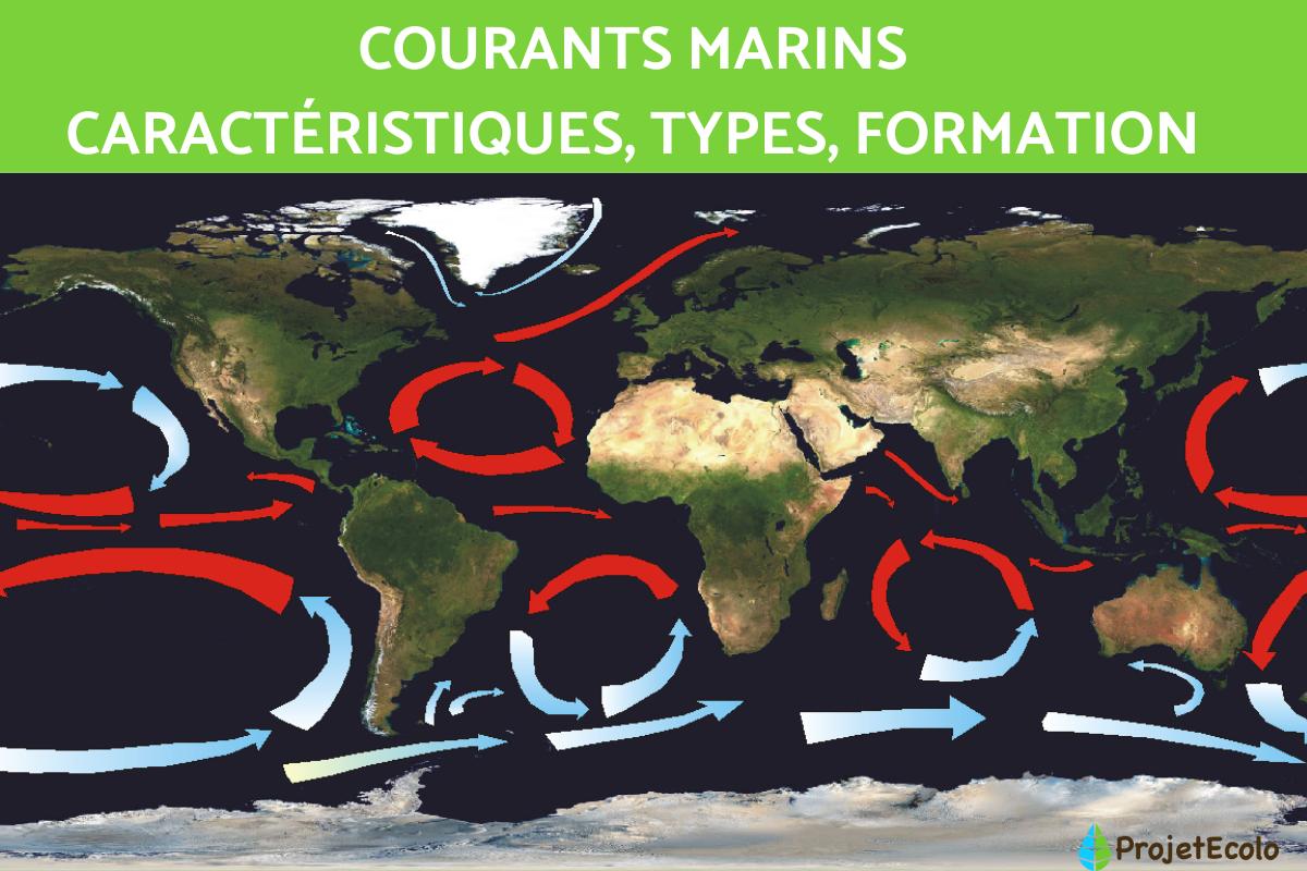 Courants marins : carte, définition, nom et formation