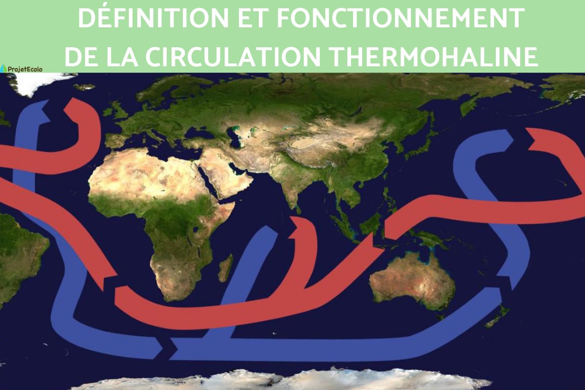 Circulation thermohaline : définition et comment elle fonctionne