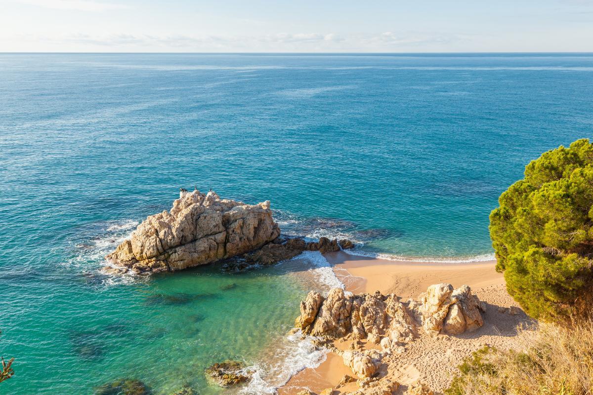 LITTORAL : DÉFINITION, TYPES, ÉCOSYSTÈMES et EXEMPLES